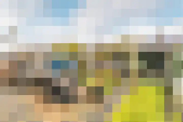 Klokkenmaker 10 Oost West en Middelbeers thumbnail 38