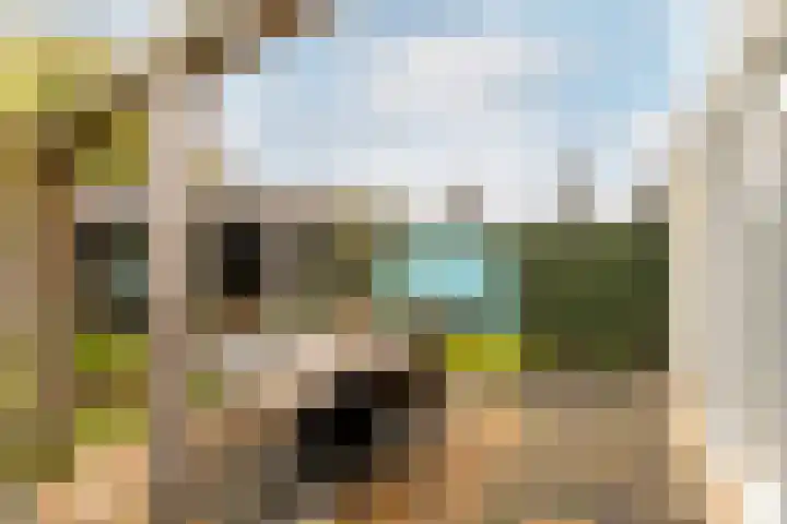 Klokkenmaker 10 Oost West en Middelbeers thumbnail 39