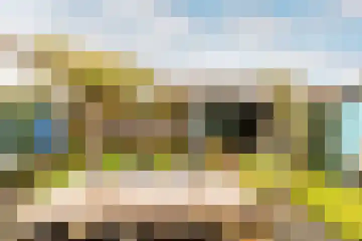 Klokkenmaker 10 Oost West en Middelbeers thumbnail 41