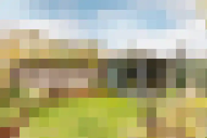 Klokkenmaker 10 Oost West en Middelbeers thumbnail 42