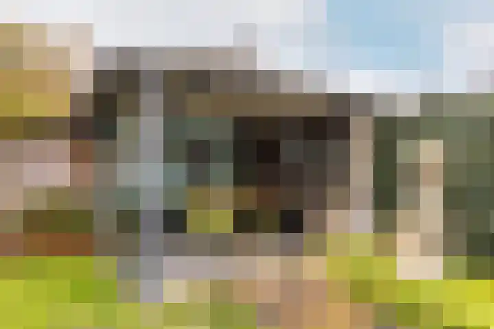 Klokkenmaker 10 Oost West en Middelbeers thumbnail 43