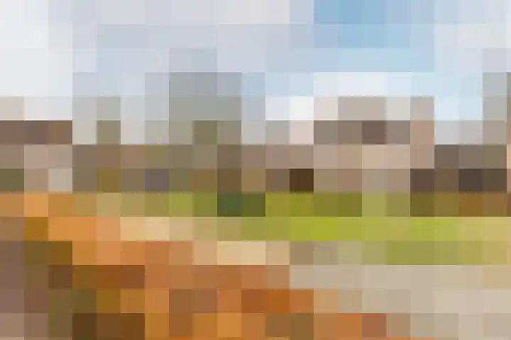 Klokkenmaker 10 Oost West en Middelbeers thumbnail 48