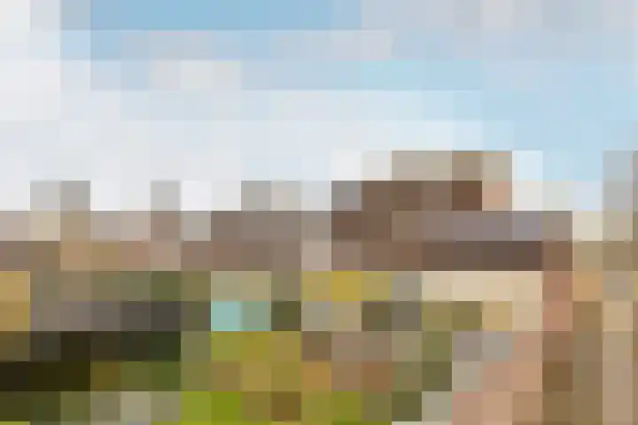 Klokkenmaker 10 Oost West en Middelbeers thumbnail 49