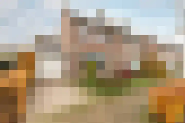 Klokkenmaker 10 Oost West en Middelbeers thumbnail 5
