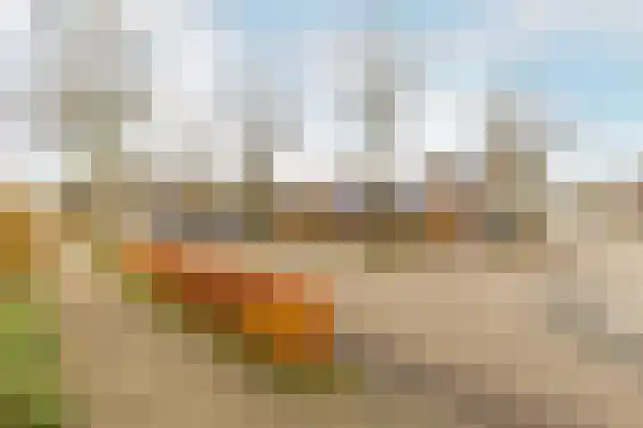 Klokkenmaker 10 Oost West en Middelbeers thumbnail 51