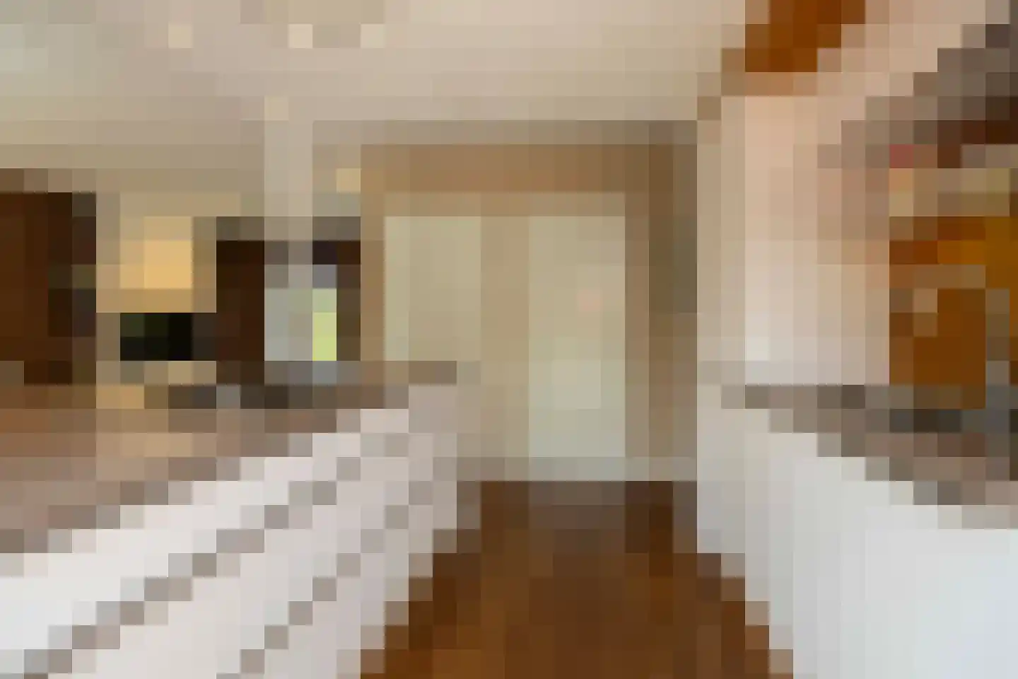 Klokkenmaker 16 Oost West en Middelbeers thumbnail 19