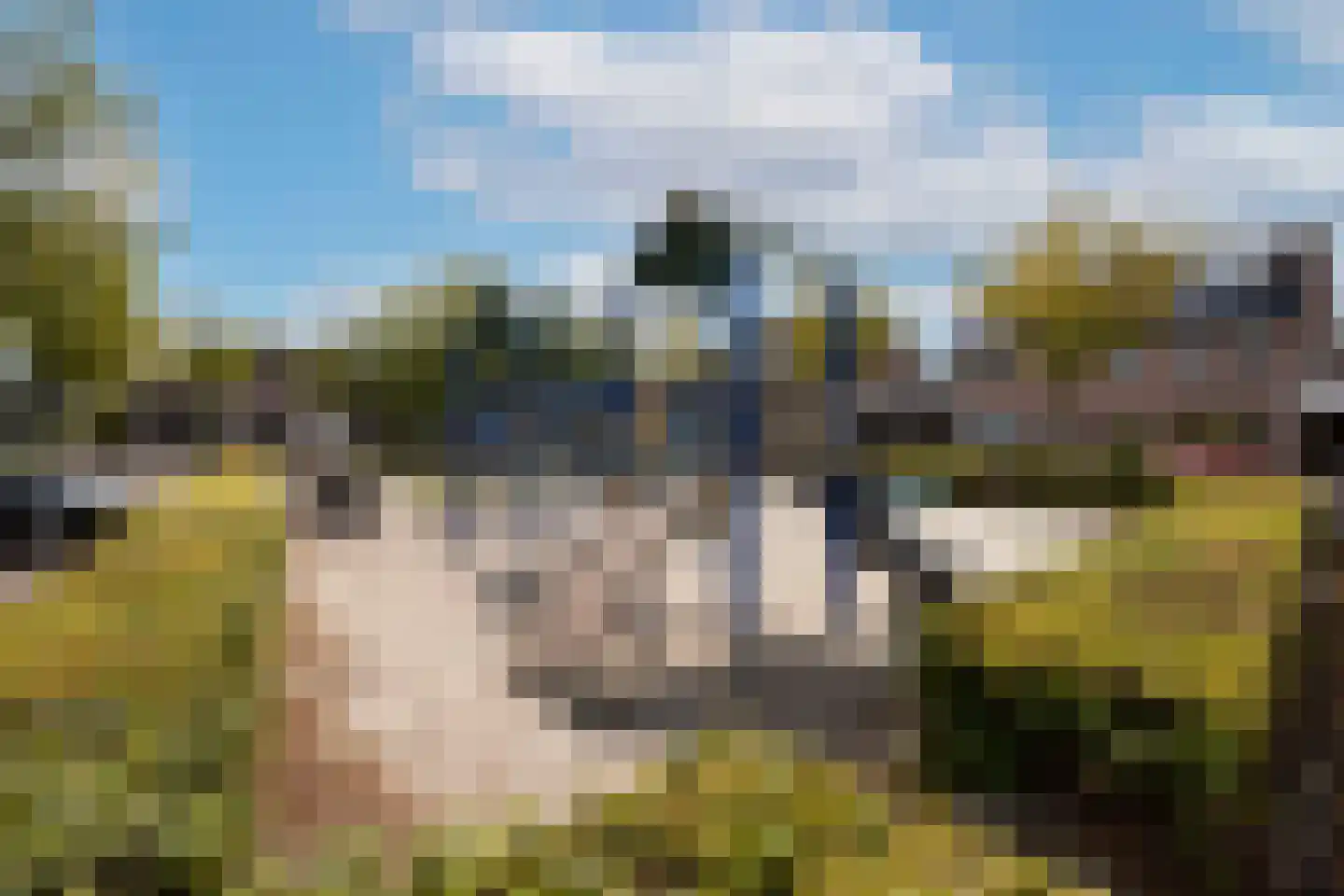 Klokkenmaker 16 Oost West en Middelbeers thumbnail 35