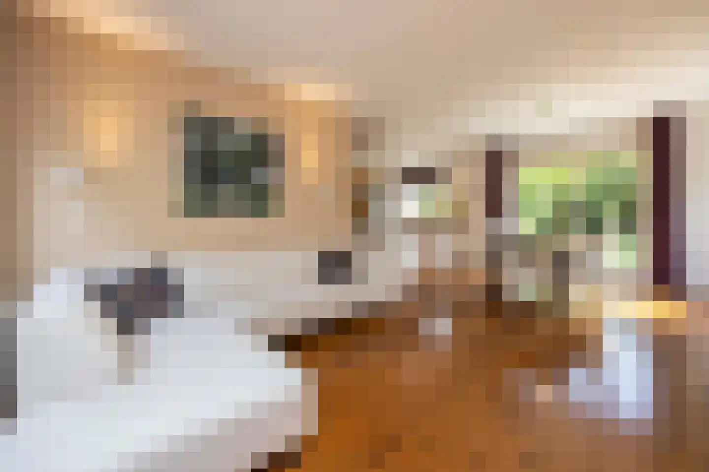Klokkenmaker 16 Oost West en Middelbeers thumbnail 9