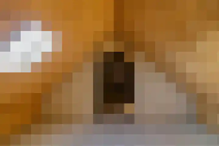 Klokkenpad 16 Stedum thumbnail 27