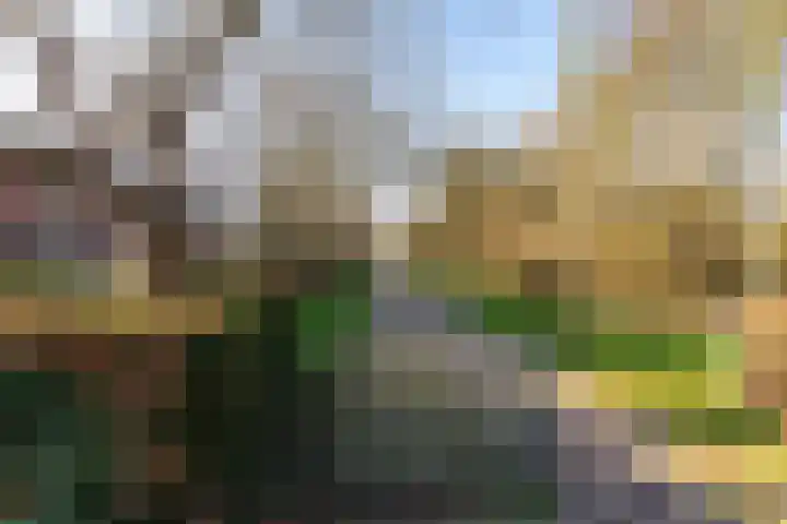Klokkenpad 16 Stedum thumbnail 4
