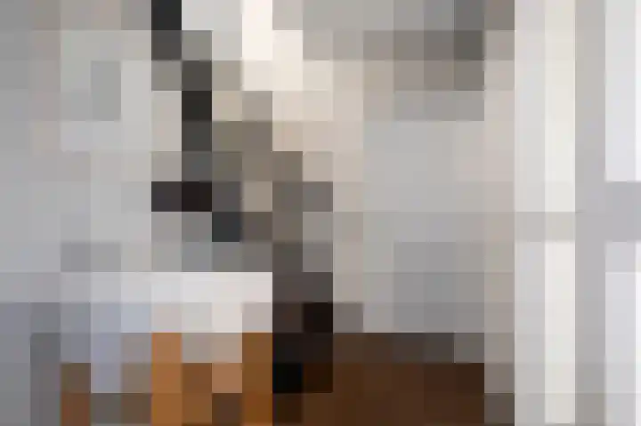 Klokkenslag 151 Emmen thumbnail 14