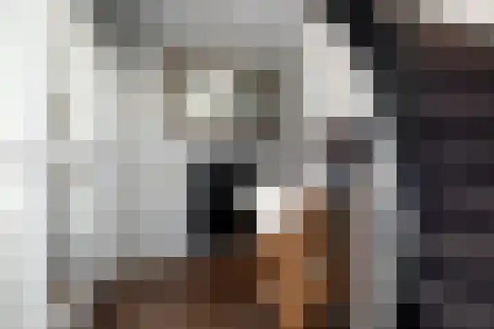 Klokkenslag 151 Emmen thumbnail 15