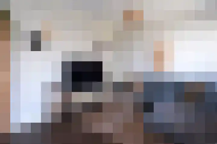 Klokkenslag 151 Emmen thumbnail 17