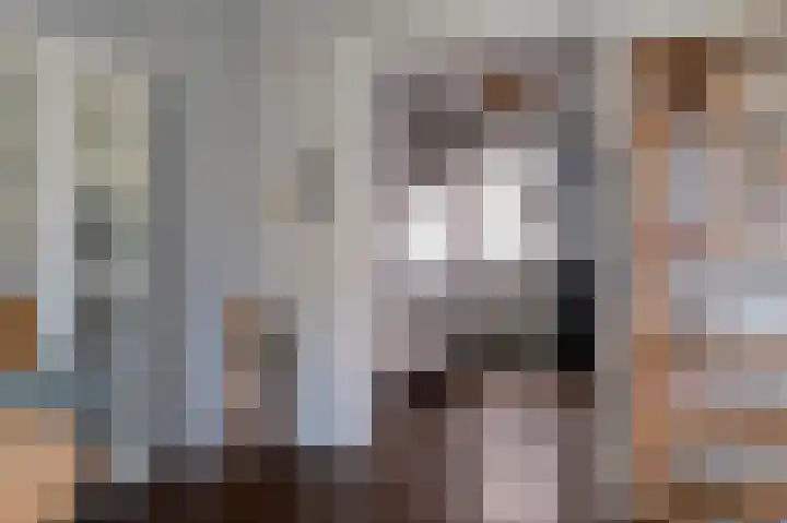 Klokkenslag 151 Emmen thumbnail 22