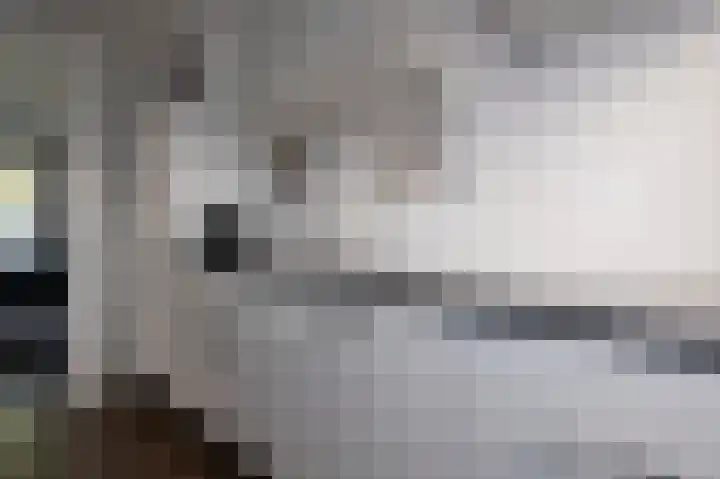 Klokkenslag 151 Emmen thumbnail 24
