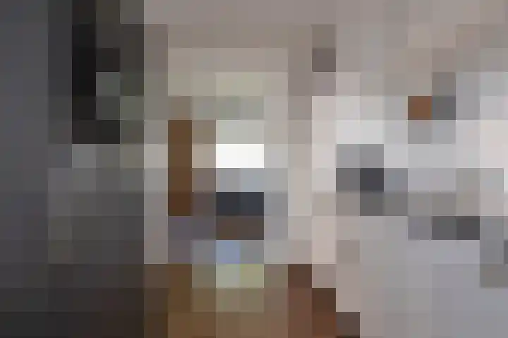 Klokkenslag 151 Emmen thumbnail 25