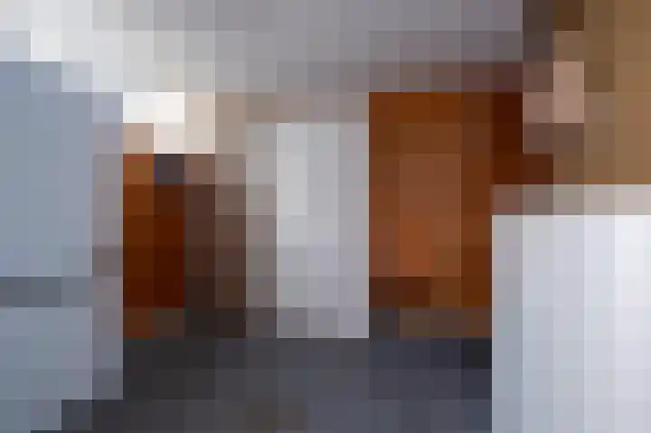 Klokkenslag 151 Emmen thumbnail 38