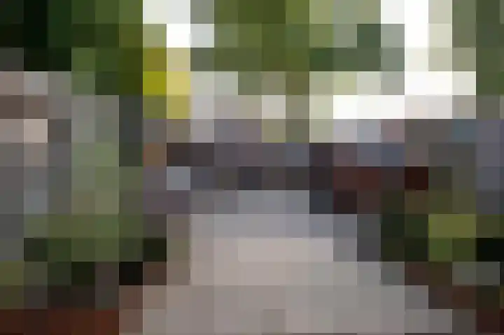 Klokkenslag 151 Emmen thumbnail 4