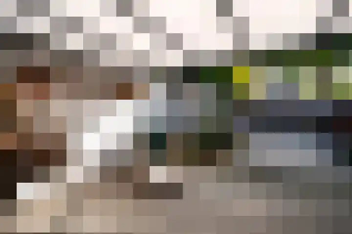 Klokkenslag 151 Emmen thumbnail 41