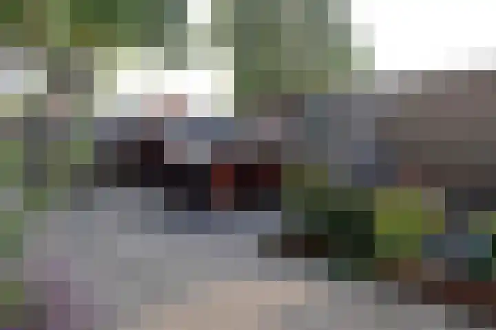 Klokkenslag 151 Emmen thumbnail 44