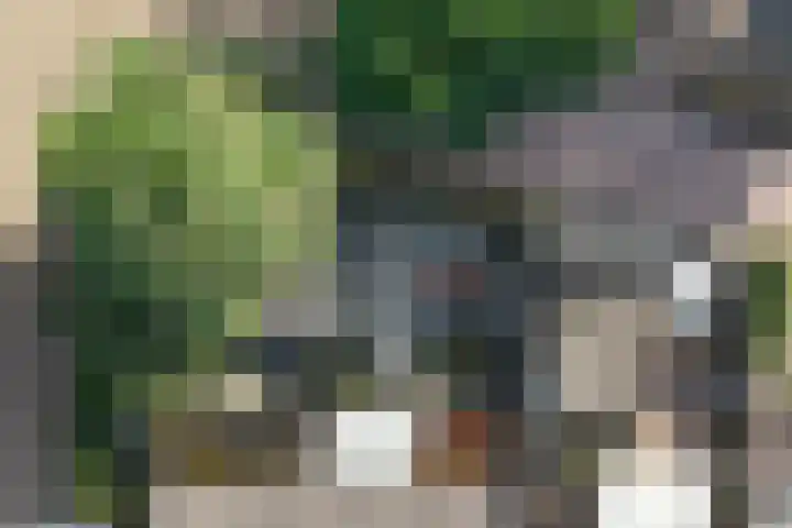 Klokkenslag 151 Emmen thumbnail 48