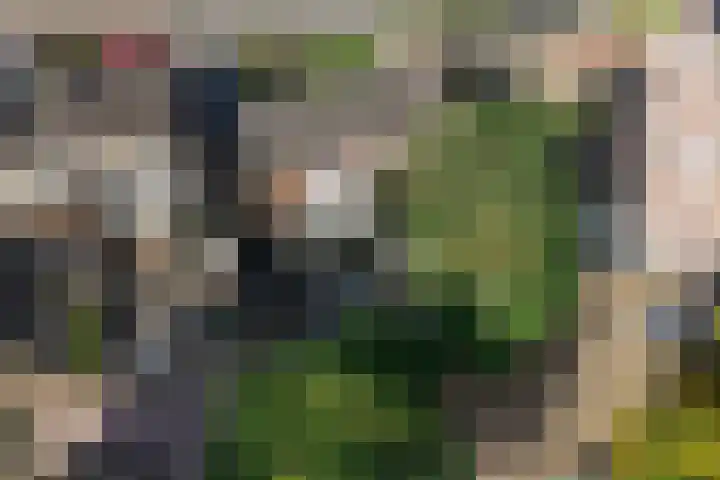 Klokkenslag 151 Emmen thumbnail 49