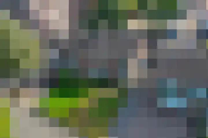 Klokkenslag 151 Emmen thumbnail 8