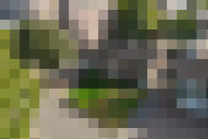 Klokkenslag 151 Emmen thumbnail 9