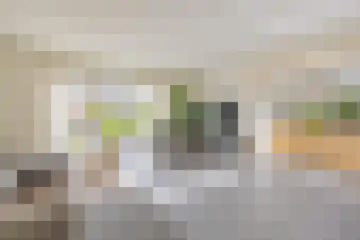 Klokketoren 11 Middelburg thumbnail 12