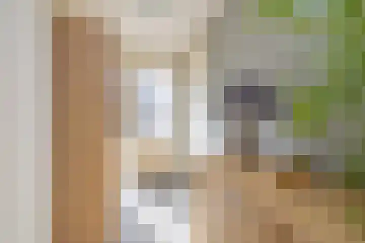 Klokketoren 11 Middelburg thumbnail 16