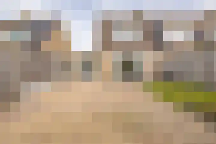 Klokketoren 11 Middelburg thumbnail 21