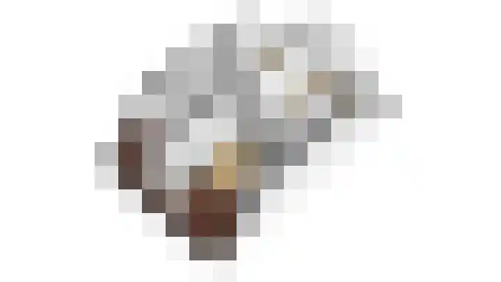 Klokketoren 11 Middelburg thumbnail 23