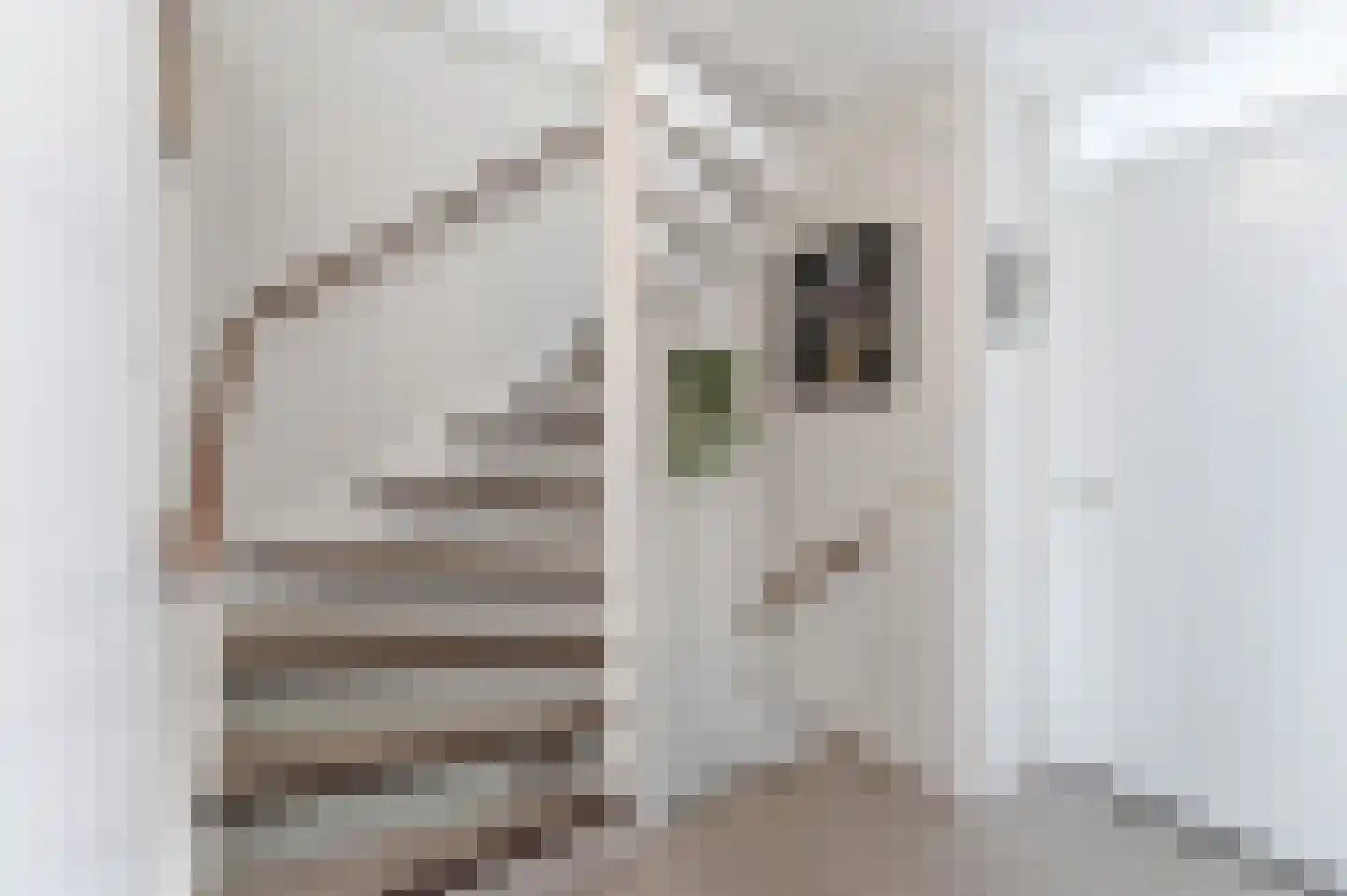 Klokketoren 16 Middelburg thumbnail 22