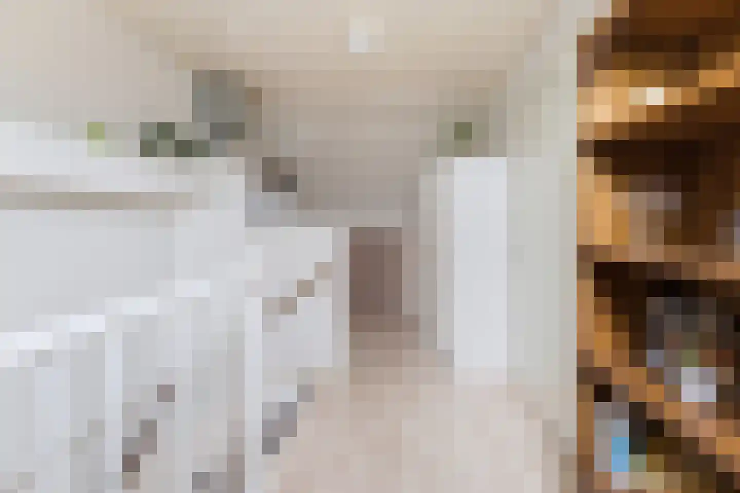 Klokketoren 16 Middelburg thumbnail 36