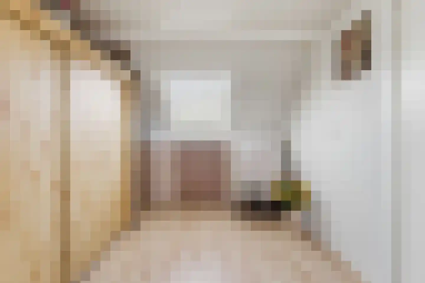Klokketoren 16 Middelburg thumbnail 38