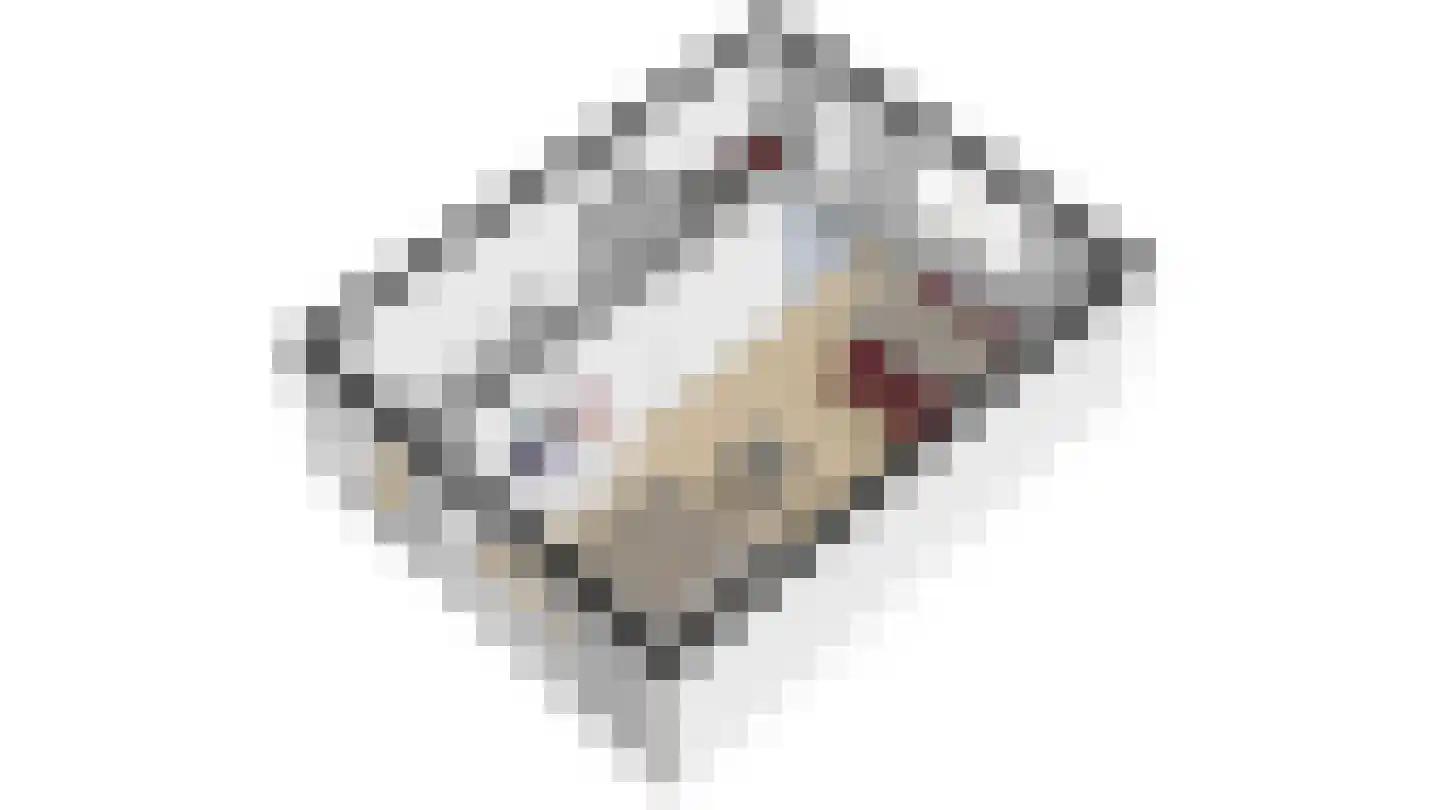 Klokketoren 2 Middelburg thumbnail 15