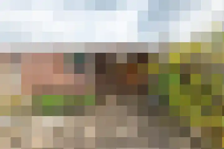 Klokketuin 39 Zwaag thumbnail 35