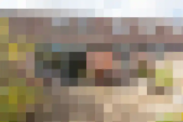 Klokketuin 39 Zwaag thumbnail 38
