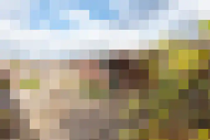 Klokketuin 39 Zwaag thumbnail 6