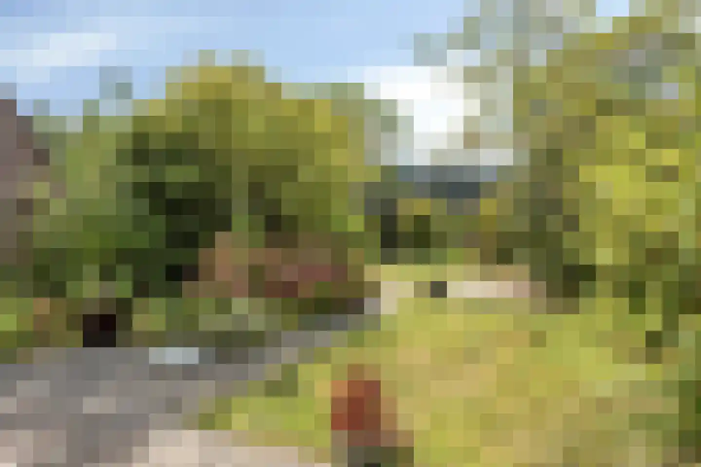 Klokketuin 71 Zwaag thumbnail 30