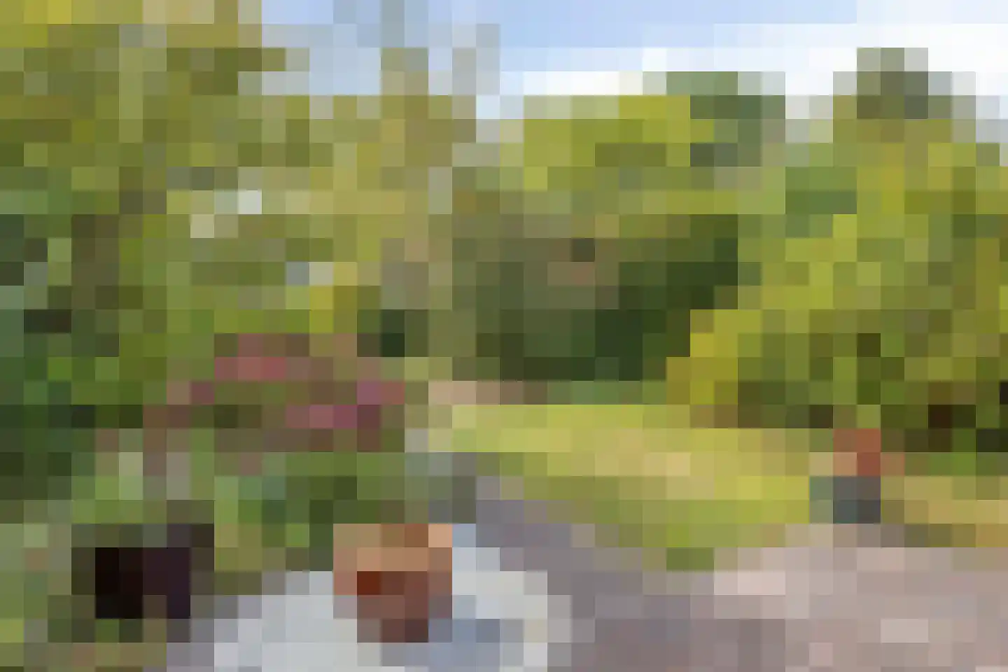 Klokketuin 71 Zwaag thumbnail 31