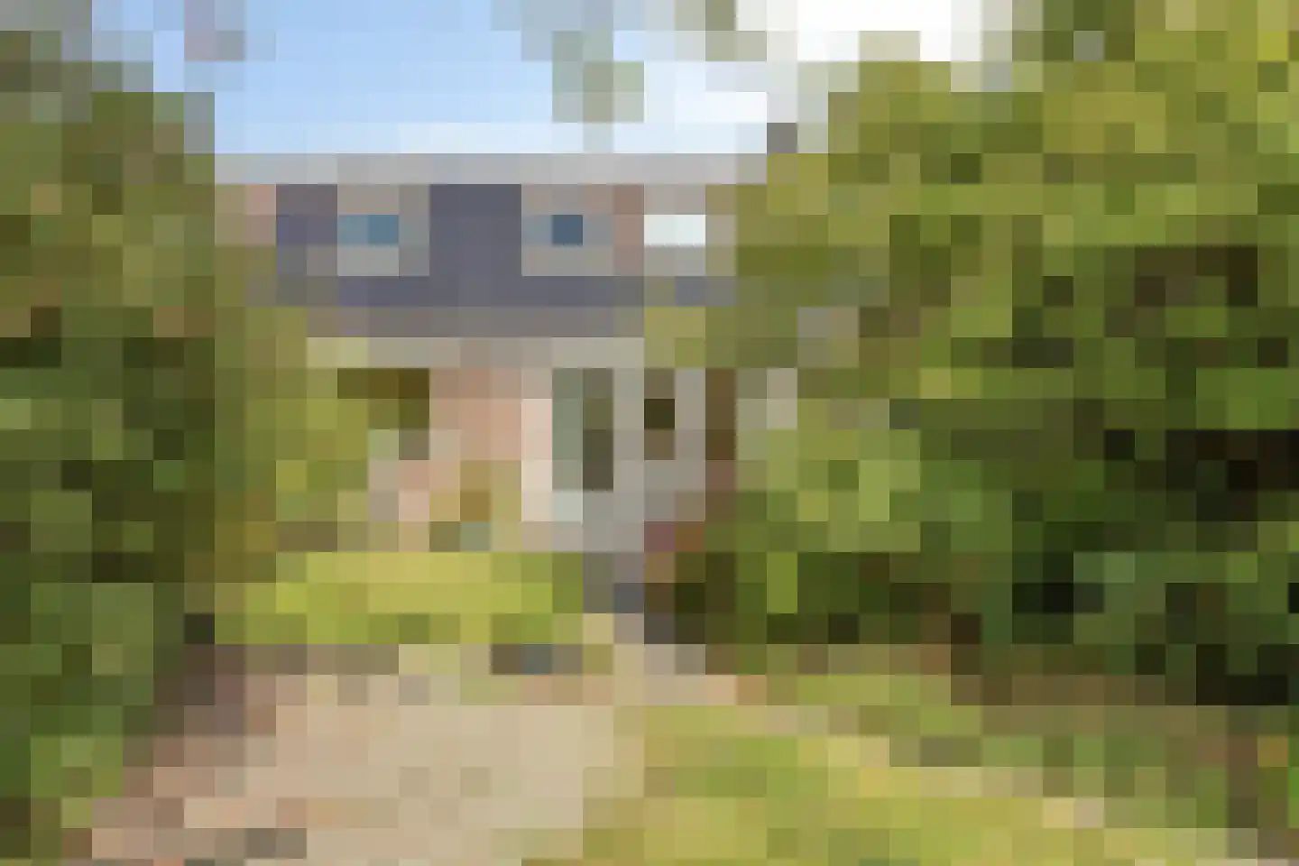 Klokketuin 71 Zwaag thumbnail 32