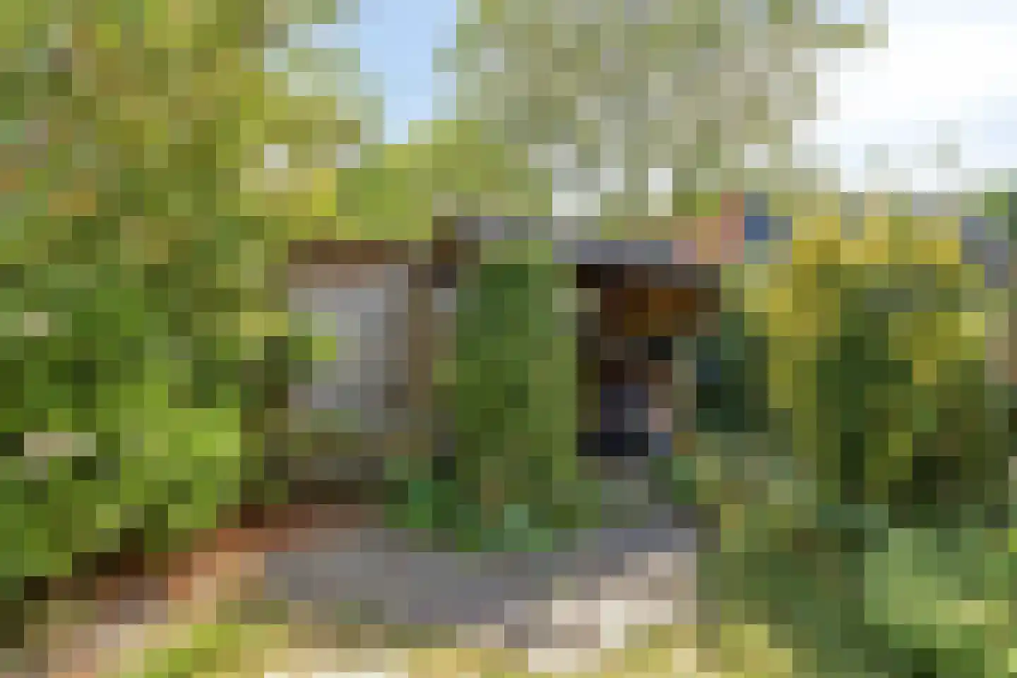 Klokketuin 71 Zwaag thumbnail 34