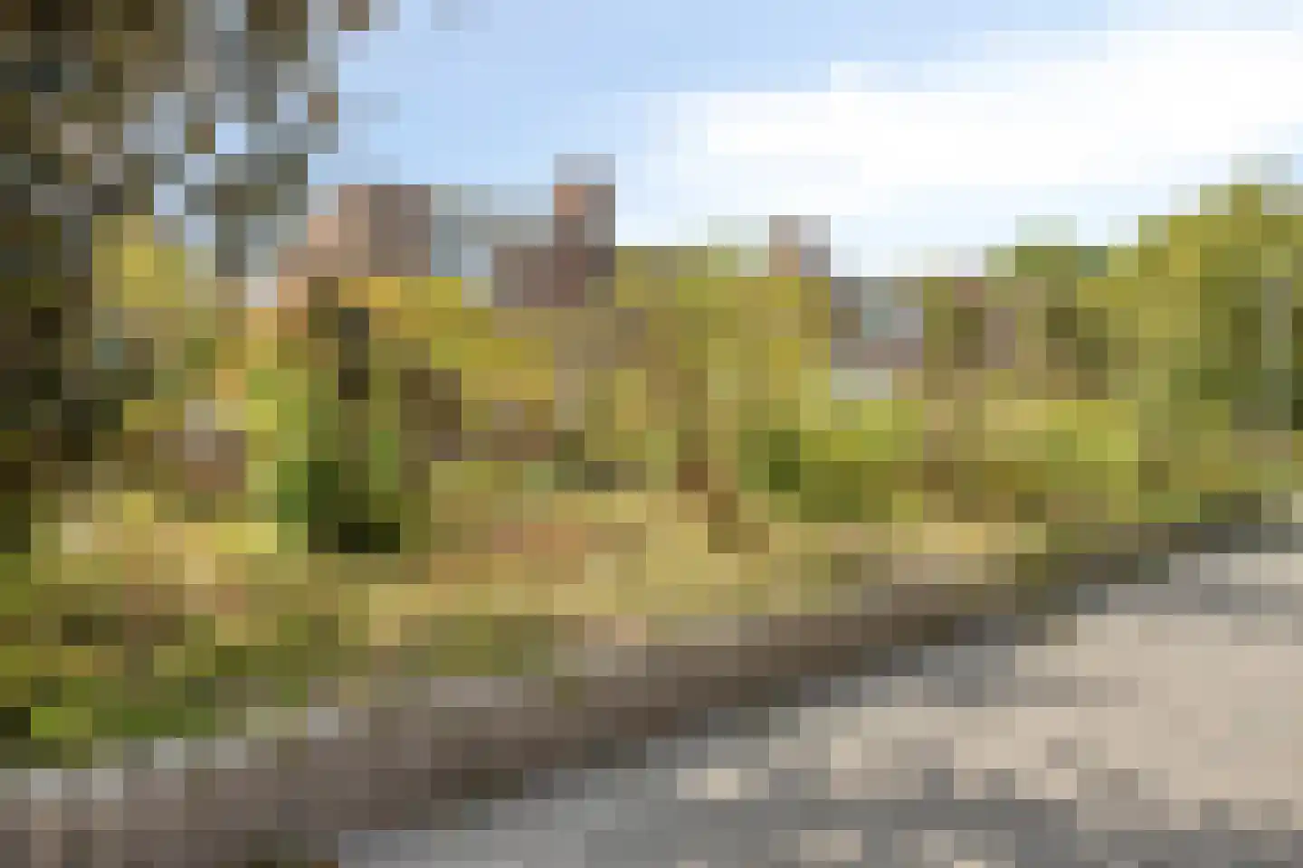Klokketuin 71 Zwaag thumbnail 5