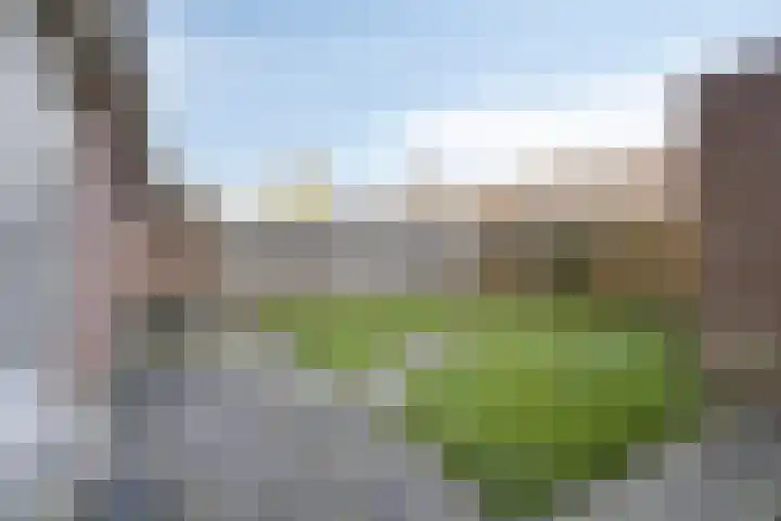 Klokketuin 93 Zwaag thumbnail 21