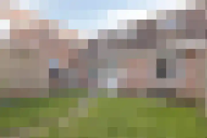 Klokketuin 93 Zwaag thumbnail 23