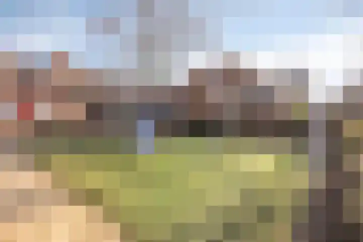 Klokketuin 93 Zwaag thumbnail 24
