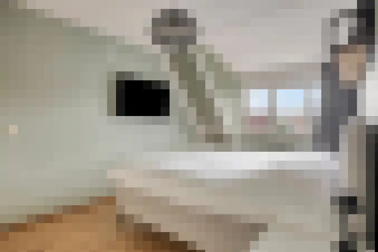 Klokkeweid 18 Hoogkarspel thumbnail 24