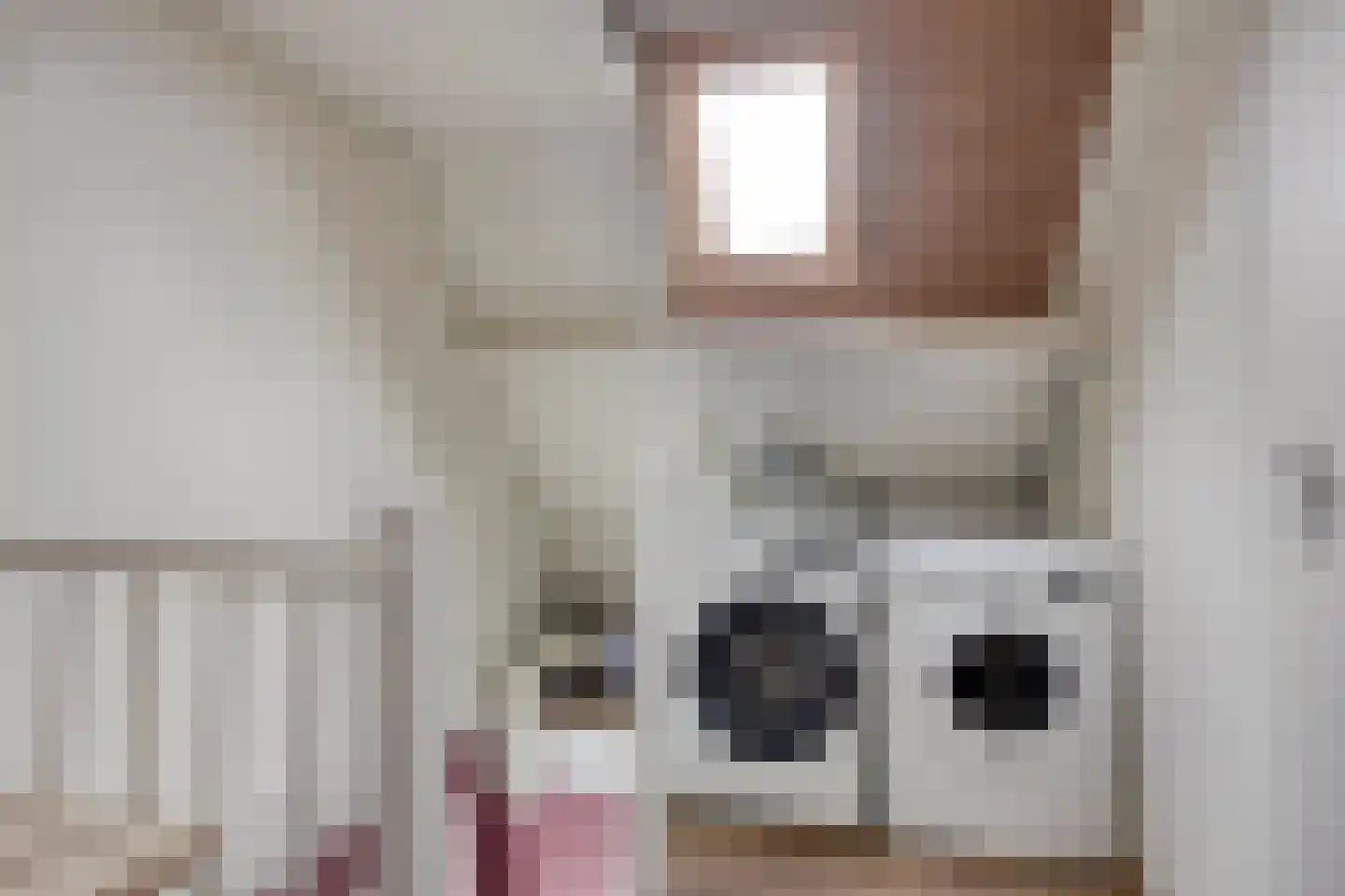 Klokkeweid 18 Hoogkarspel thumbnail 30