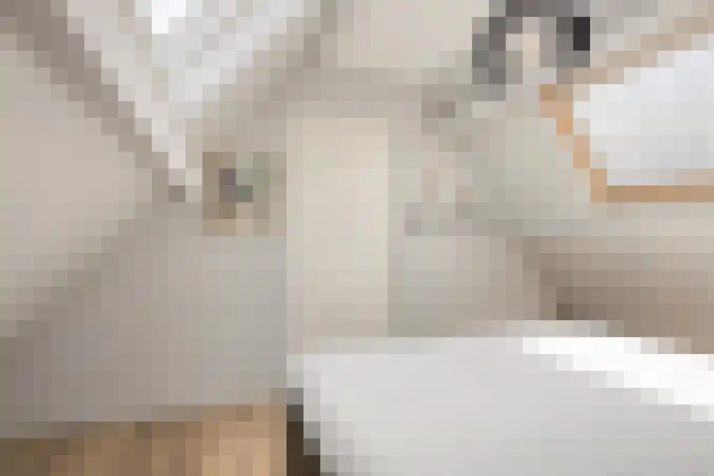 Klokkeweid 18 Hoogkarspel thumbnail 31